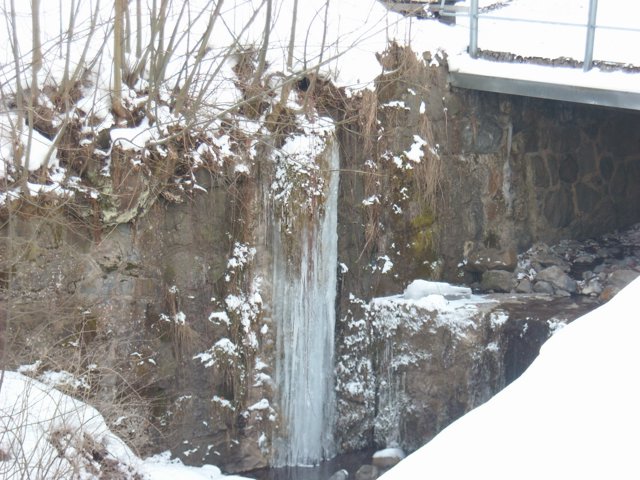 Schlitteln2010 (042).JPG