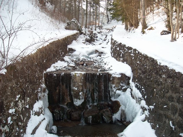 Schlitteln2010 (045).JPG