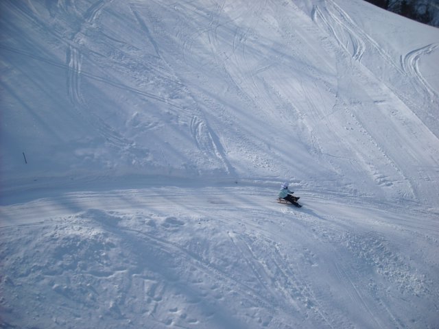 Schlitteln2010 (049).JPG