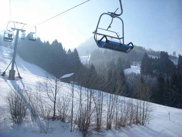 Schlitteln2010 (050).JPG