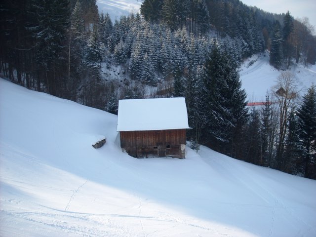 Schlitteln2010 (053).JPG