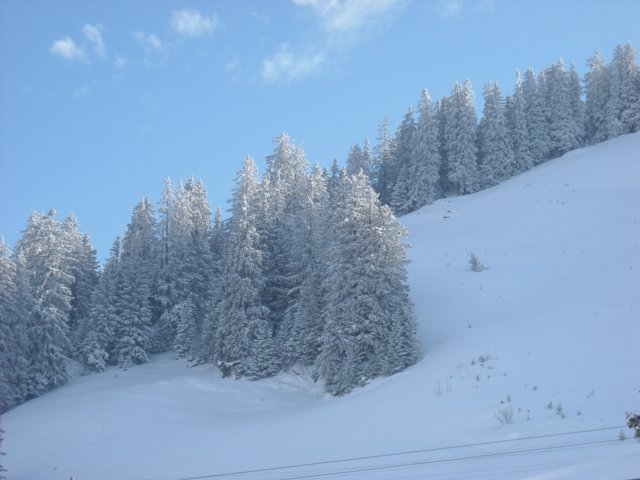 Schlitteln2010 (055).JPG