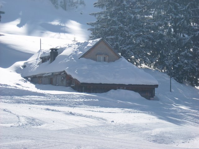 Schlitteln2010 (059).JPG