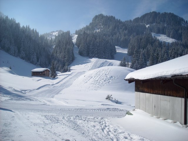 Schlitteln2010 (061).JPG