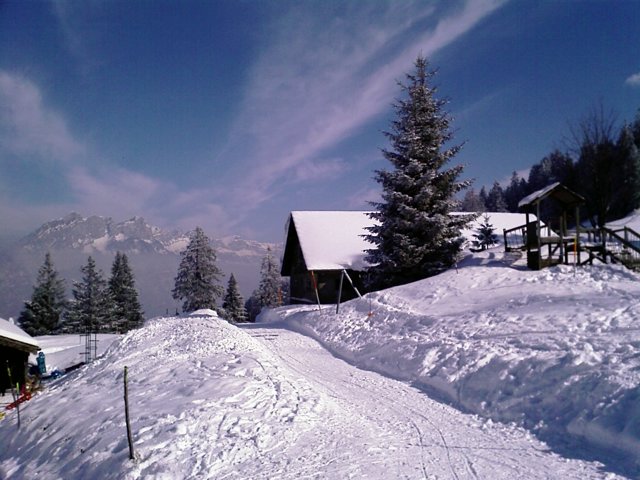 Schlitteln2010 (071).jpg
