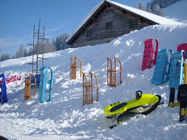Schlitteln2010 (087).JPG