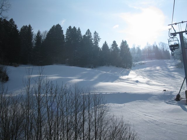Schlitteln2010 (090).JPG