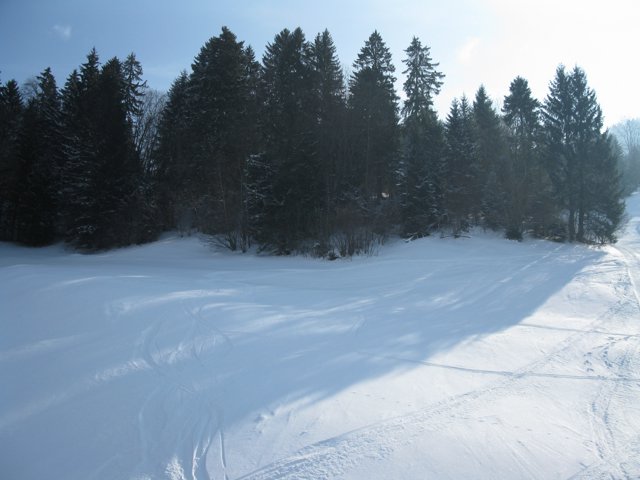 Schlitteln2010 (097).JPG