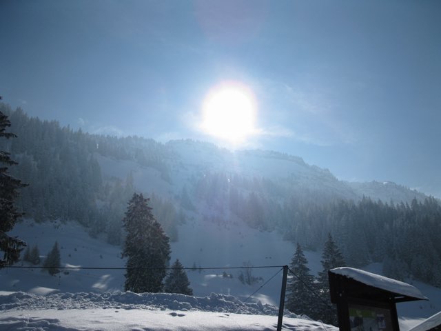Schlitteln2010 (102).JPG