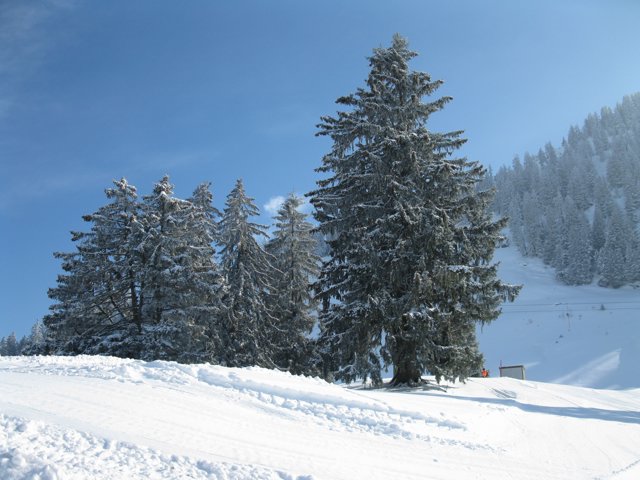 Schlitteln2010 (106).JPG
