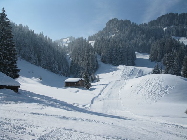 Schlitteln2010 (112).JPG