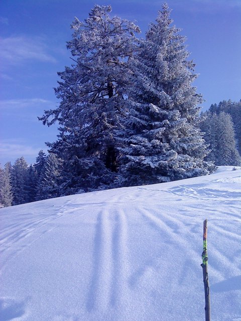 Schlitteln2010 (127).JPG