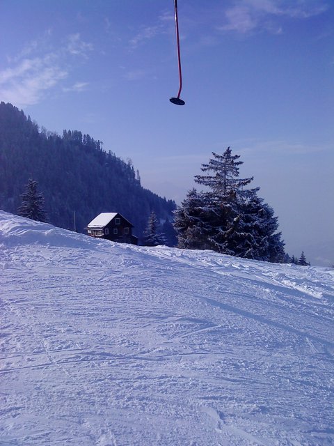 Schlitteln2010 (130).JPG