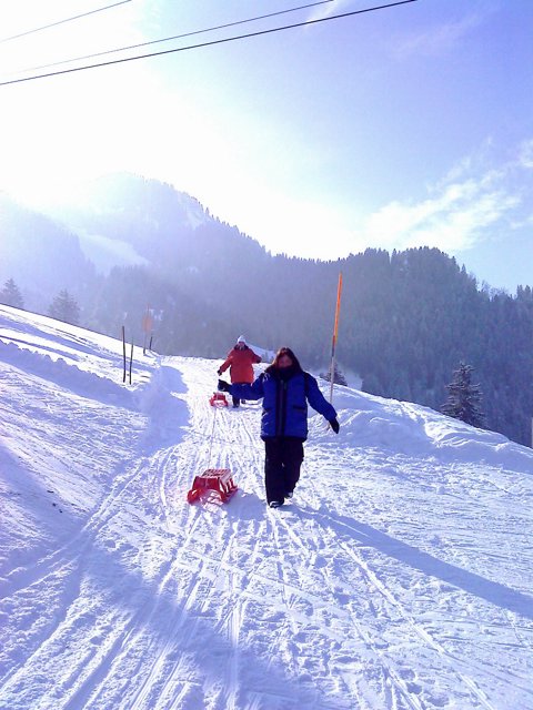 Schlitteln2010 (137).JPG