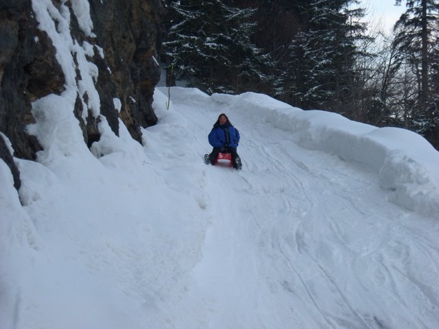 Schlitteln2010 (139).JPG
