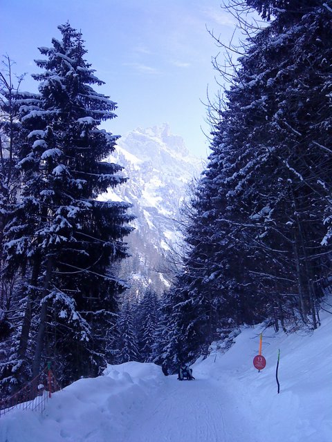 Schlitteln2010 (141).JPG