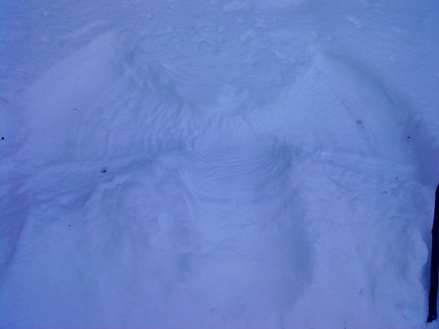 Schlitteln2010 (146).JPG