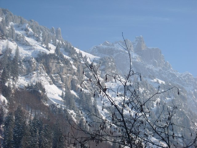 Schlitteln2010 (148).JPG