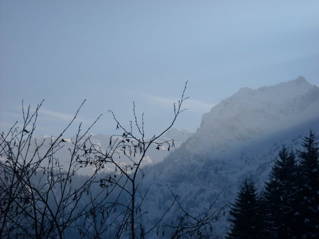 Schlitteln2010 (150).JPG