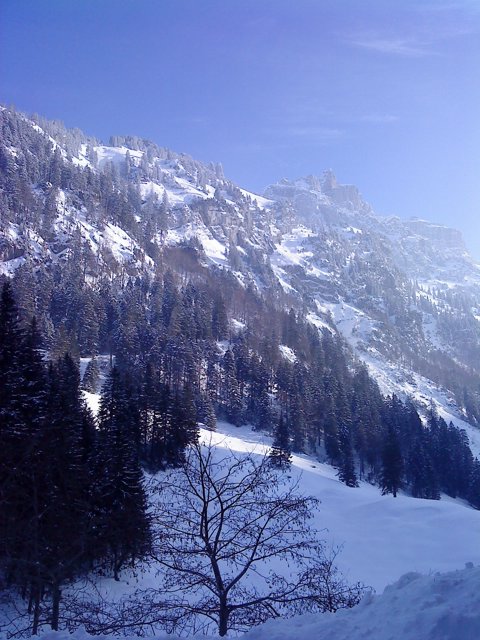 Schlitteln2010 (152).JPG