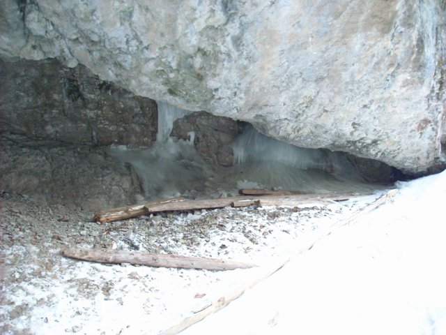 Schlitteln2010 (156).JPG