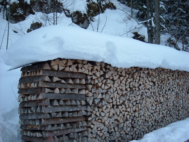 Schlitteln2010 (161).JPG