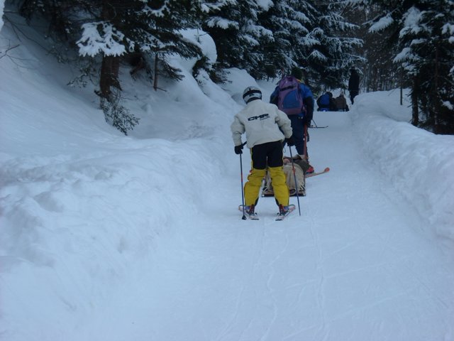Schlitteln2010 (162).JPG