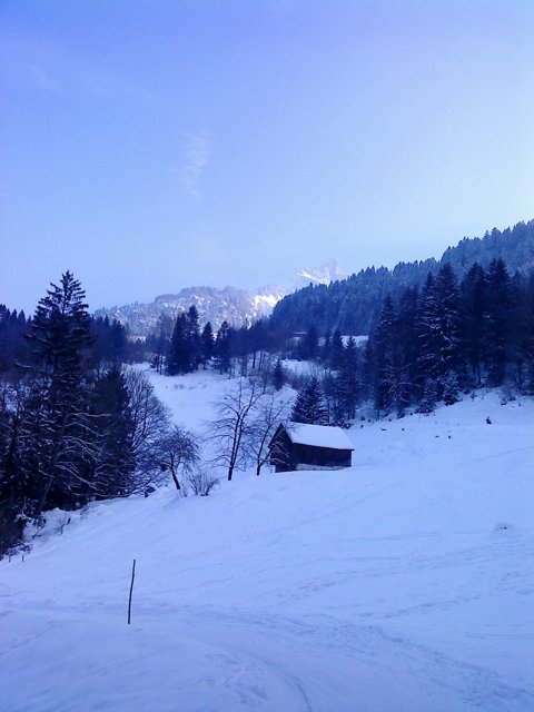 Schlitteln2010 (164).JPG