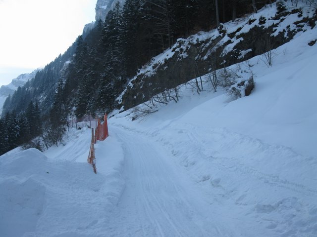 Schlitteln2010 (165).JPG