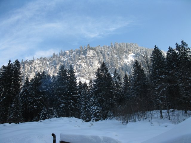 Schlitteln2010 (167).JPG