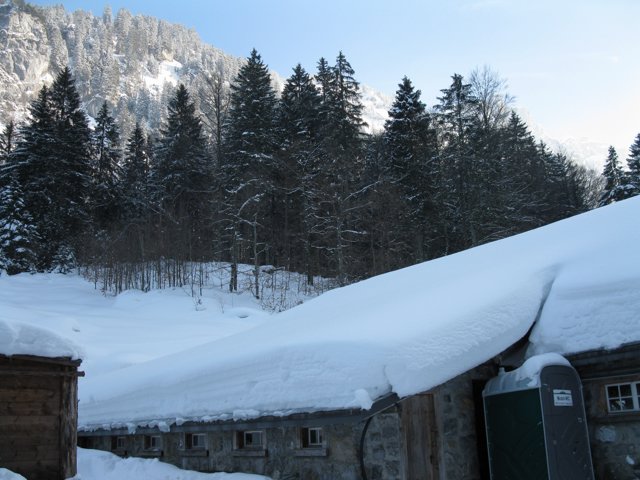 Schlitteln2010 (168).JPG