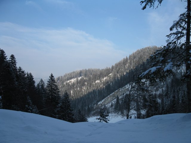 Schlitteln2010 (169).JPG
