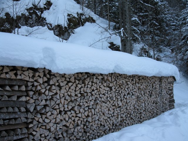 Schlitteln2010 (170).JPG