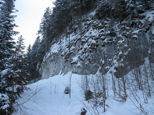 Schlitteln2010 (171).JPG