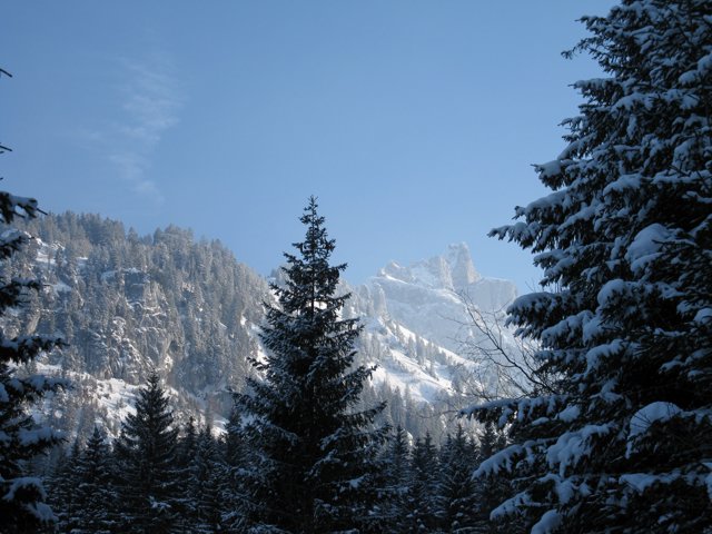 Schlitteln2010 (173).JPG