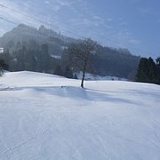 Schlitteln2010 (018).JPG