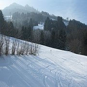 Schlitteln2010 (025).JPG