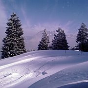 Schlitteln2010 (038).jpg