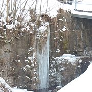 Schlitteln2010 (042).JPG