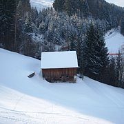 Schlitteln2010 (053).JPG