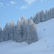 Schlitteln2010 (055).JPG