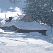 Schlitteln2010 (059).JPG
