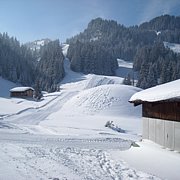 Schlitteln2010 (061).JPG
