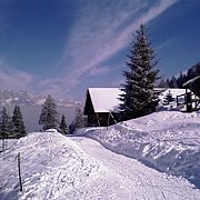Schlitteln2010 (071).jpg
