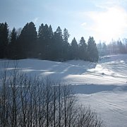Schlitteln2010 (090).JPG