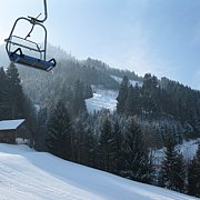 Schlitteln2010 (093).JPG