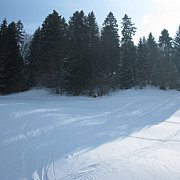 Schlitteln2010 (097).JPG