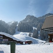 Schlitteln2010 (103).JPG