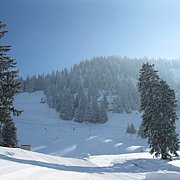 Schlitteln2010 (109).JPG