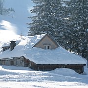Schlitteln2010 (111).JPG
